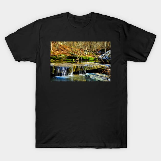 Flowing Waters T-Shirt by michaelasamples